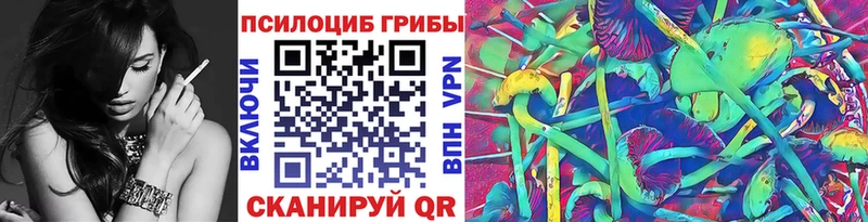 где можно купить наркотик  мега ссылки  Псилоцибиновые грибы прущие грибы  Ессентукская 